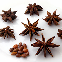 Бадьян настоящий, Звёздчатый анис