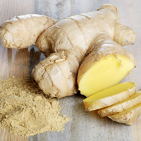 Имбирь (ginger, zingiber)